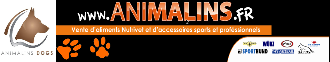 ANIMALINS 