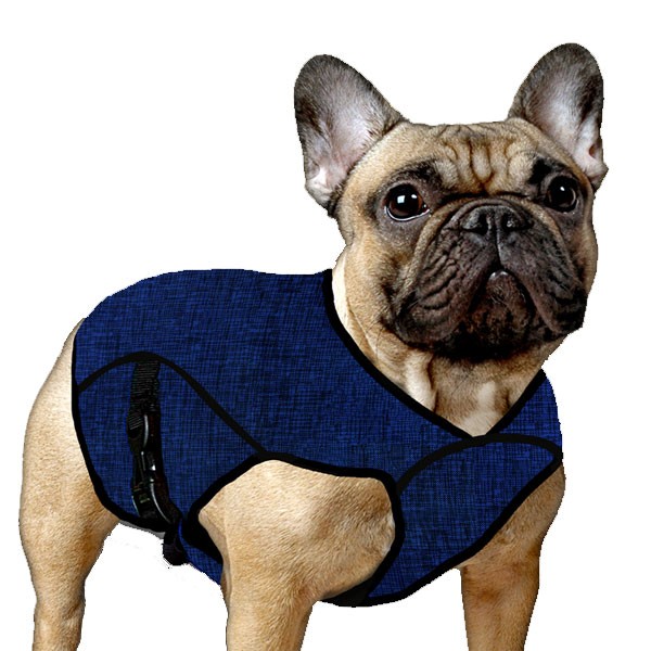 Manteau rafraichissant sales chien easidri