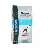 SALMON & RICE ADULT DOGS (15 kg bag)