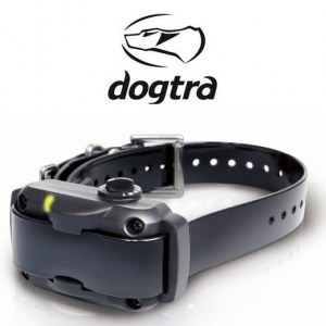 DOGTRA YS 600